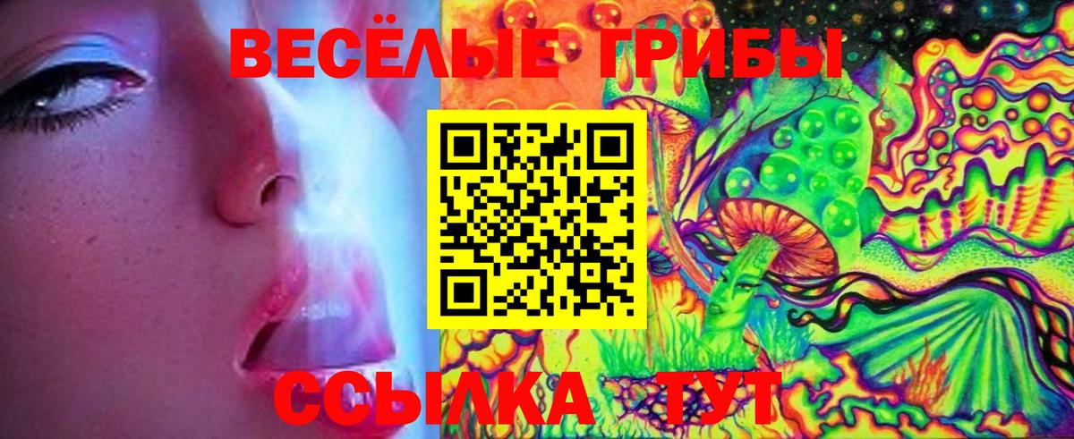 Алапаевск  Псилоцибиновые грибы мухоморы  Вход с VPN  Галлюциногенные грибы GOLDEN TEACHER 