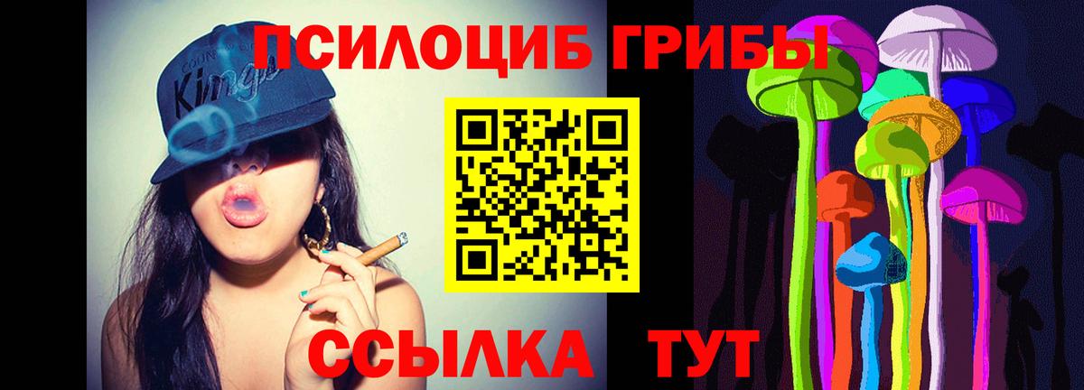 Псилоцибиновые грибы прущие грибы Алапаевск